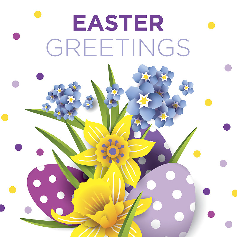 复活节贺卡。矢量插图的花束。水仙花和复活节彩蛋在白色的背景。图片素材