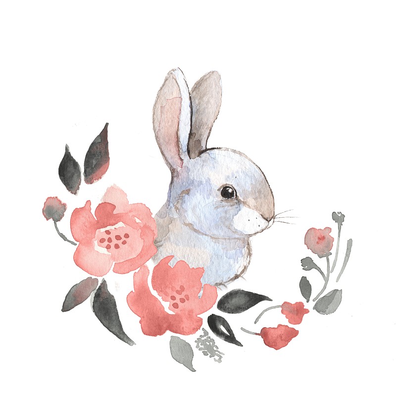 兔子和鲜花图片下载