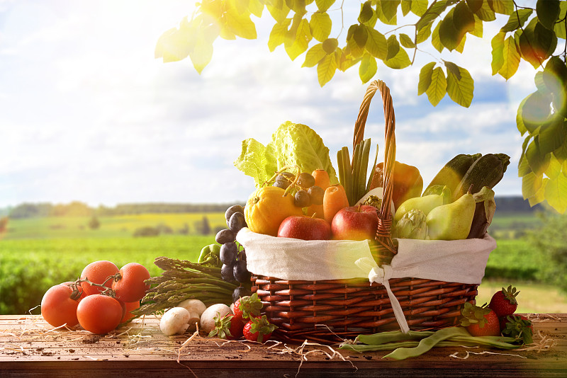 水果和蔬菜餐桌和作物景观背景图片下载