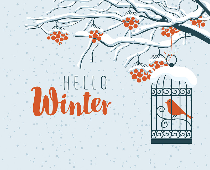 冬天的风景是白雪覆盖的花楸和鸟儿图片下载