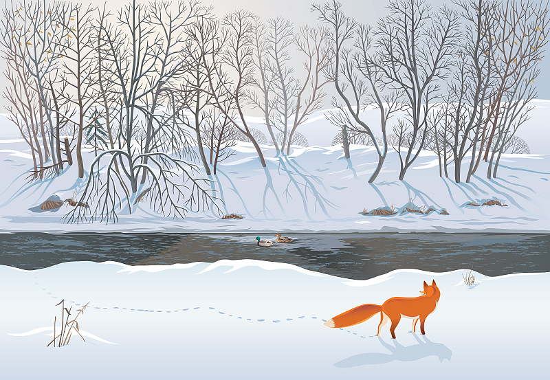 狐狸和两只鸭子图片素材